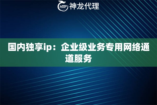 国内独享ip：企业级业务专用网络通道服务