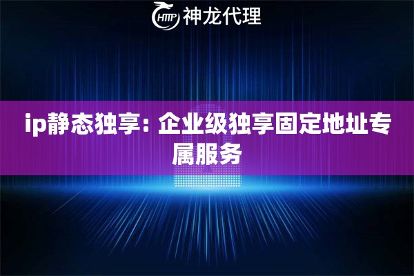 ip静态独享: 企业级独享固定地址专属服务