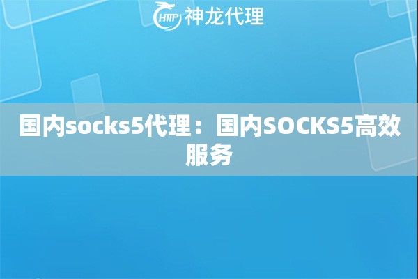 国内socks5代理：国内SOCKS5高效服务