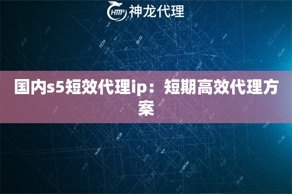 国内s5短效代理ip：短期高效代理方案