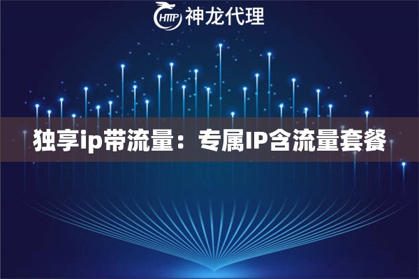 独享ip带流量：专属IP含流量套餐
