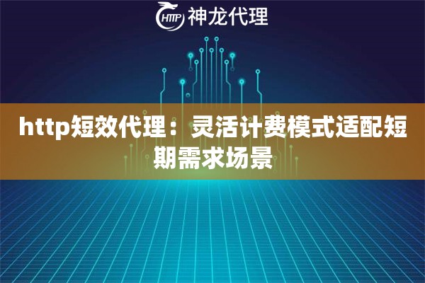 http短效代理：灵活计费模式适配短期需求场景