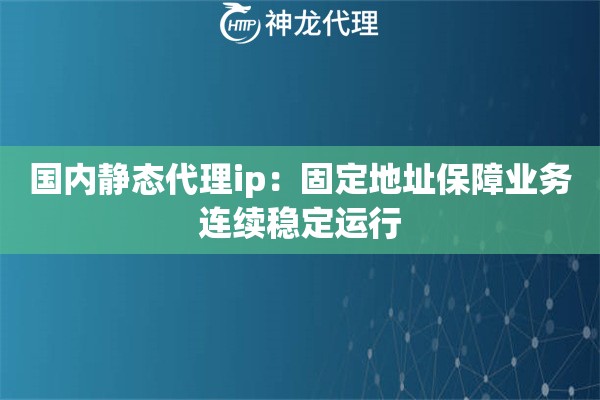 国内静态代理ip：固定地址保障业务连续稳定运行