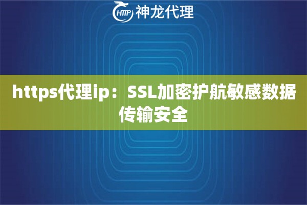 https代理ip：SSL加密护航敏感数据传输安全
