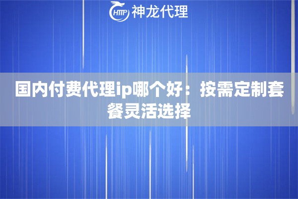 国内付费代理ip哪个好：按需定制套餐灵活选择