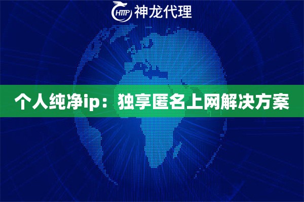 个人纯净ip：独享匿名上网解决方案