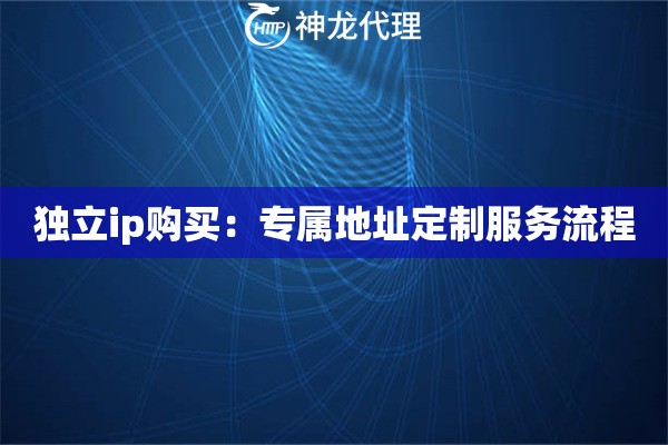 独立ip购买：专属地址定制服务流程