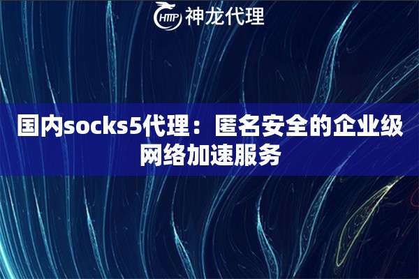 国内socks5代理：匿名安全的企业级网络加速服务