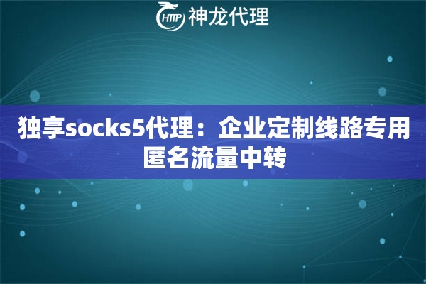 独享socks5代理：企业定制线路专用匿名流量中转