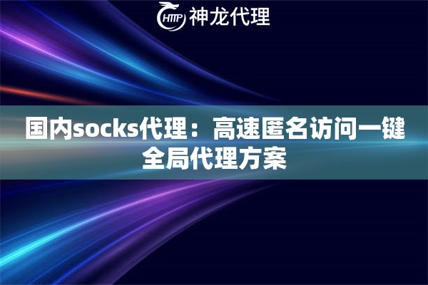 国内socks代理：高速匿名访问一键全局代理方案