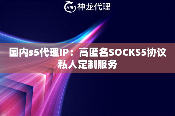 国内s5代理IP：高匿名SOCKS5协议私人定制服务