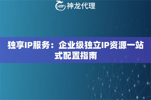 独享IP服务：企业级独立IP资源一站式配置指南