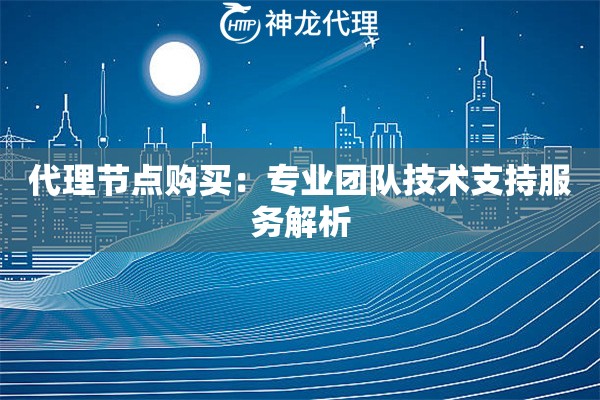代理节点购买：专业团队技术支持服务解析
