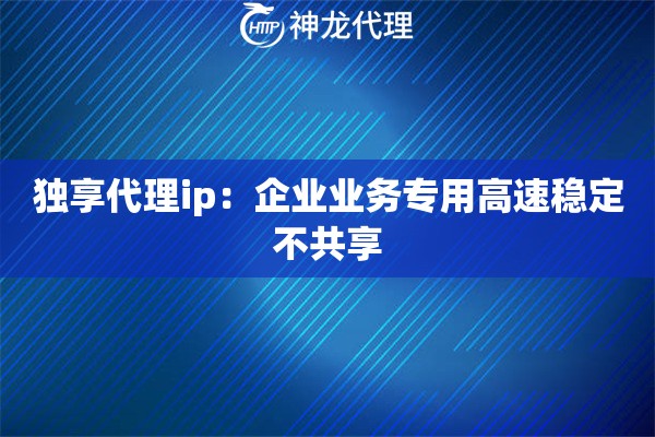 独享代理ip：企业业务专用高速稳定不共享