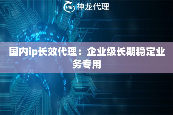 国内ip长效代理：企业级长期稳定业务专用