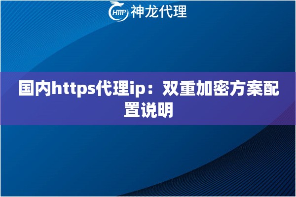 国内https代理ip：双重加密方案配置说明