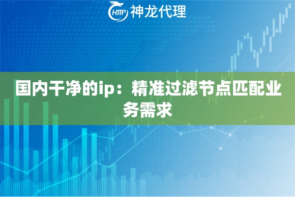 国内干净的ip：精准过滤节点匹配业务需求
