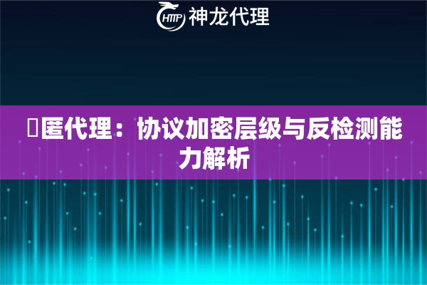 髙匿代理：协议加密层级与反检测能力解析