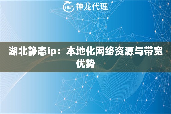 湖北静态ip：本地化网络资源与带宽优势