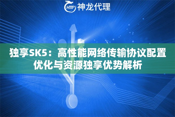 独享SK5：高性能网络传输协议配置优化与资源独享优势解析