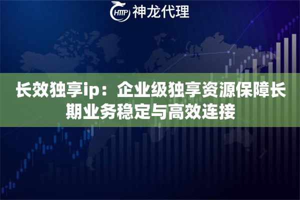 长效独享ip：企业级独享资源保障长期业务稳定与高效连接