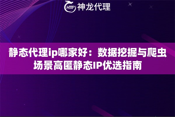 静态代理ip哪家好：数据挖掘与爬虫场景高匿静态IP优选指南