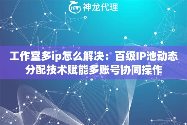 工作室多ip怎么解决：百级IP池动态分配技术赋能多账号协同操作