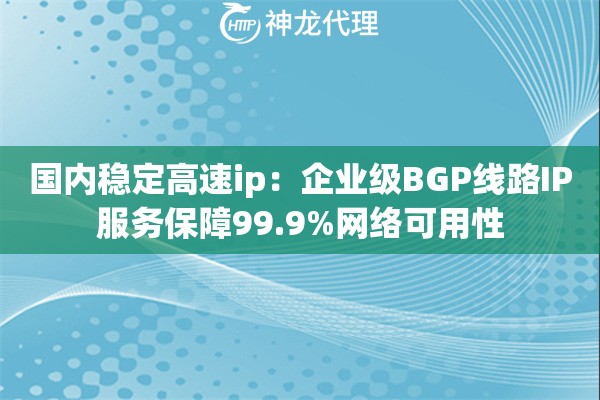 国内稳定高速ip：企业级BGP线路IP服务保障99.9%网络可用性