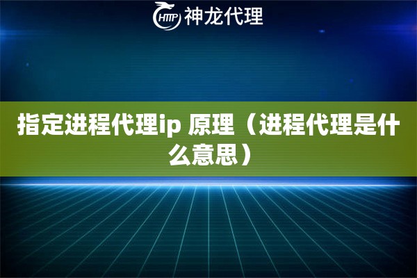 指定进程代理ip 原理（进程代理是什么意思）