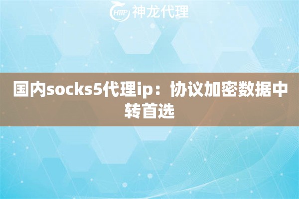 国内socks5代理ip：协议加密数据中转首选