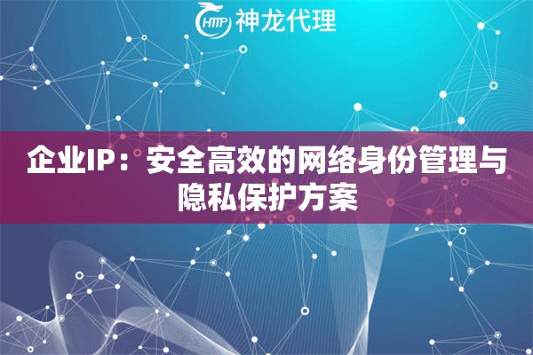 企业IP：安全高效的网络身份管理与隐私保护方案