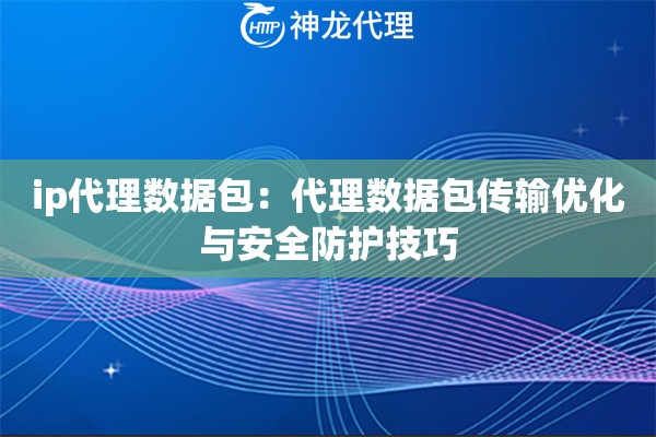 ip代理数据包：代理数据包传输优化与安全防护技巧