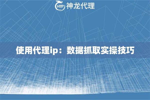 使用代理ip：数据抓取实操技巧