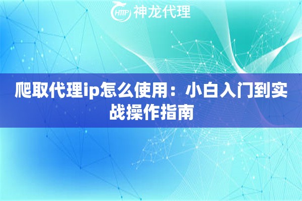 爬取代理ip怎么使用：小白入门到实战操作指南