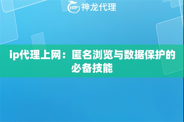 ip代理上网：匿名浏览与数据保护的必备技能