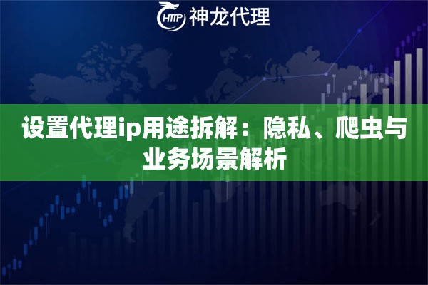 设置代理ip用途拆解：隐私、爬虫与业务场景解析