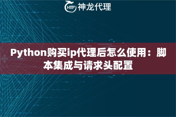 Python购买ip代理后怎么使用：脚本集成与请求头配置