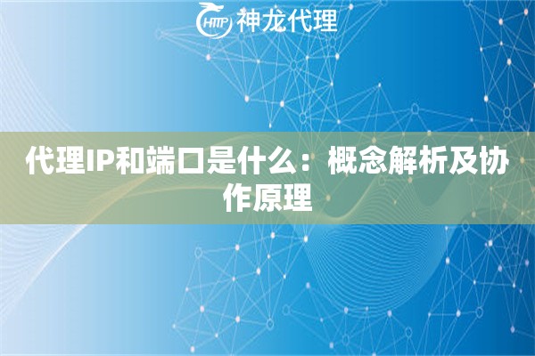 代理IP和端口是什么：概念解析及协作原理