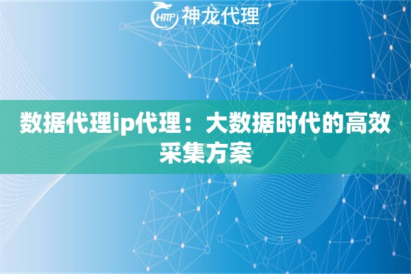 数据代理ip代理：大数据时代的高效采集方案