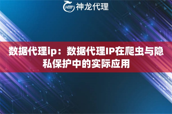 数据代理ip：数据代理IP在爬虫与隐私保护中的实际应用