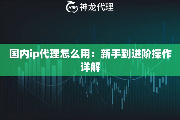 国内ip代理怎么用：新手到进阶操作详解