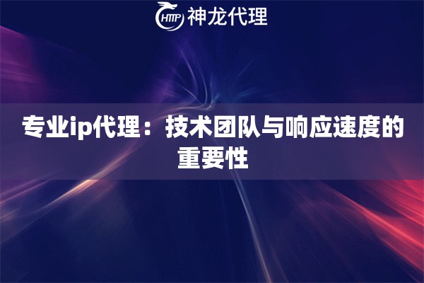 专业ip代理：技术团队与响应速度的重要性
