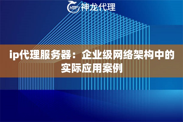 ip代理服务器：企业级网络架构中的实际应用案例
