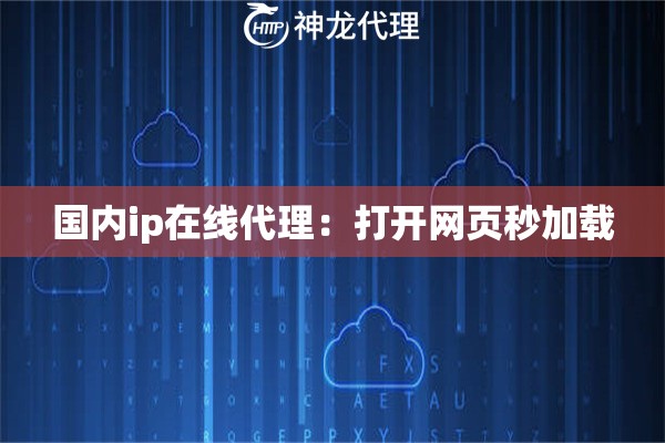 国内ip在线代理：打开网页秒加载