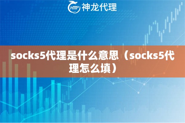 socks5代理是什么意思（socks5代理怎么填）