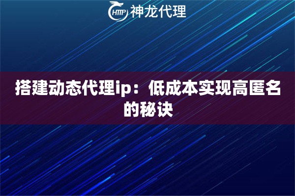 搭建动态代理ip：低成本实现高匿名的秘诀