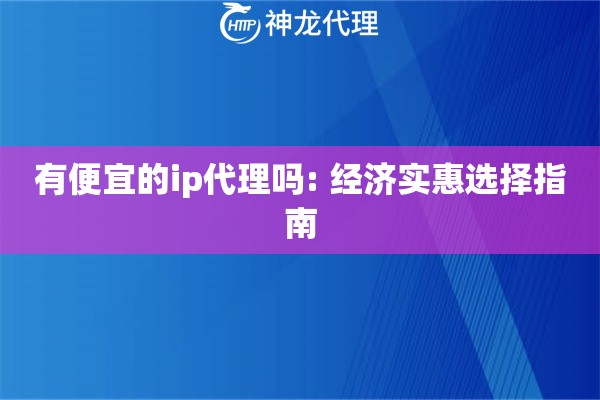 有便宜的ip代理吗: 经济实惠选择指南