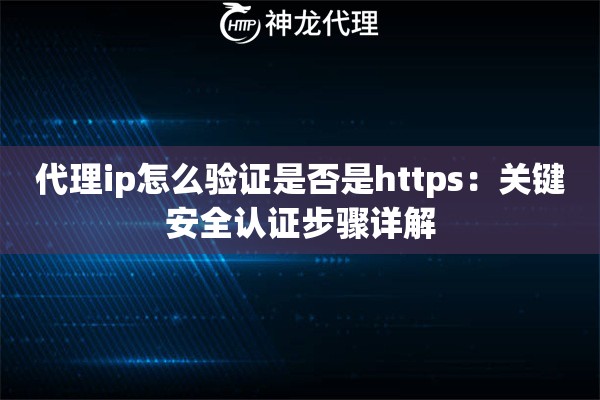 代理ip怎么验证是否是https：关键安全认证步骤详解