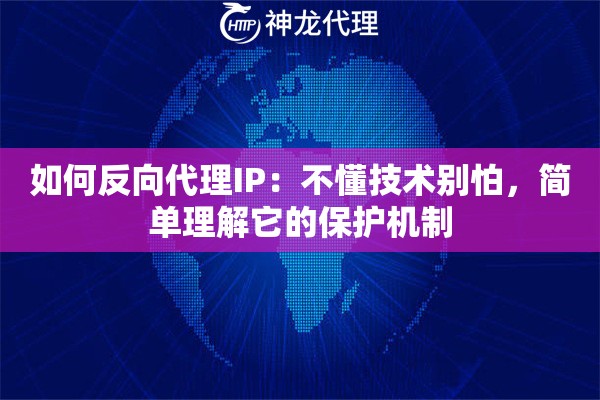 如何反向代理IP：不懂技术别怕，简单理解它的保护机制