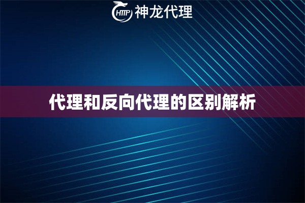 代理和反向代理的区别解析